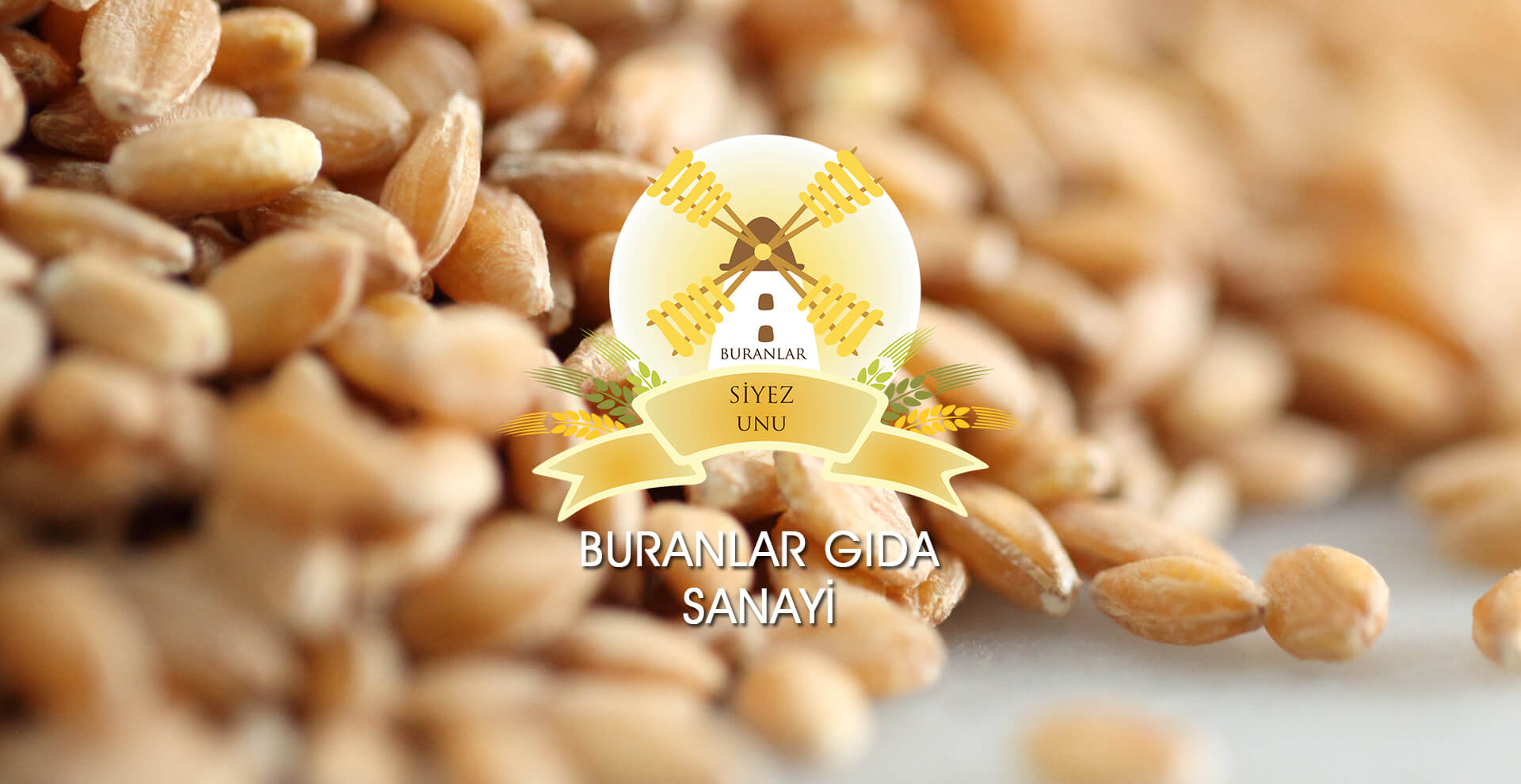 buranlar, gıda, siyez, un, unu, bulgur, buğday, atası, ihsangazi, kastamonu, organik