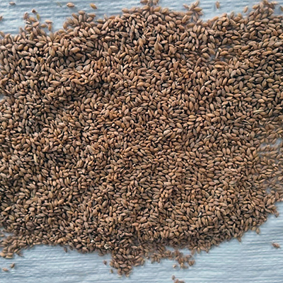 buranlar, gıda, siyez, un, unu, bulgur, buğday, atası, ihsangazi, kastamonu, organik