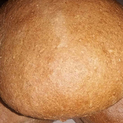 buranlar, gıda, siyez, un, unu, bulgur, buğday, atası, ihsangazi, kastamonu, organik